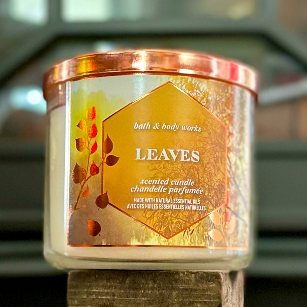 BBW 3 Wick Candle LEAVES